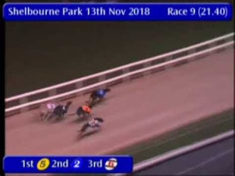 igb upcoming sweepstakes|Shelbourne Park .